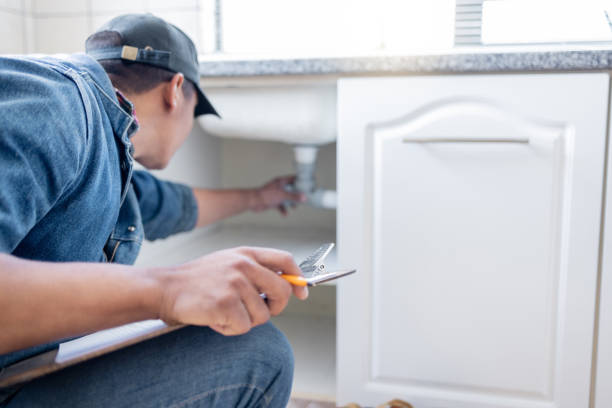 Best Same-Day Plumbing Service  in The Meadows, FL