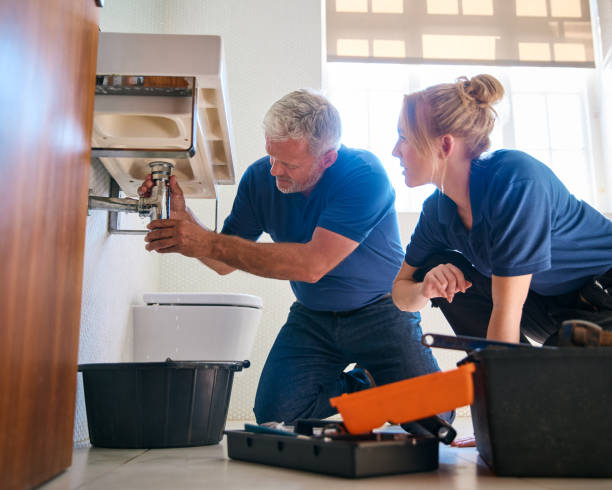 Best Toilet Repair Services  in The Meadows, FL